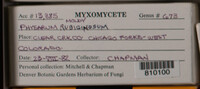 Image Associated With the Occurence